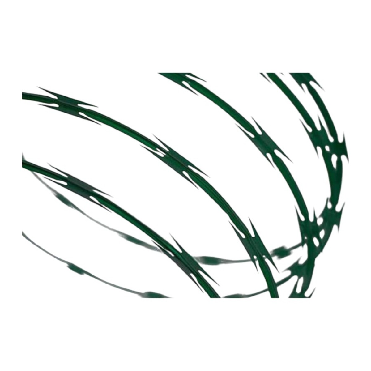 Concertina Verde Doble Filo – 10 Metros de Seguridad Residencial 