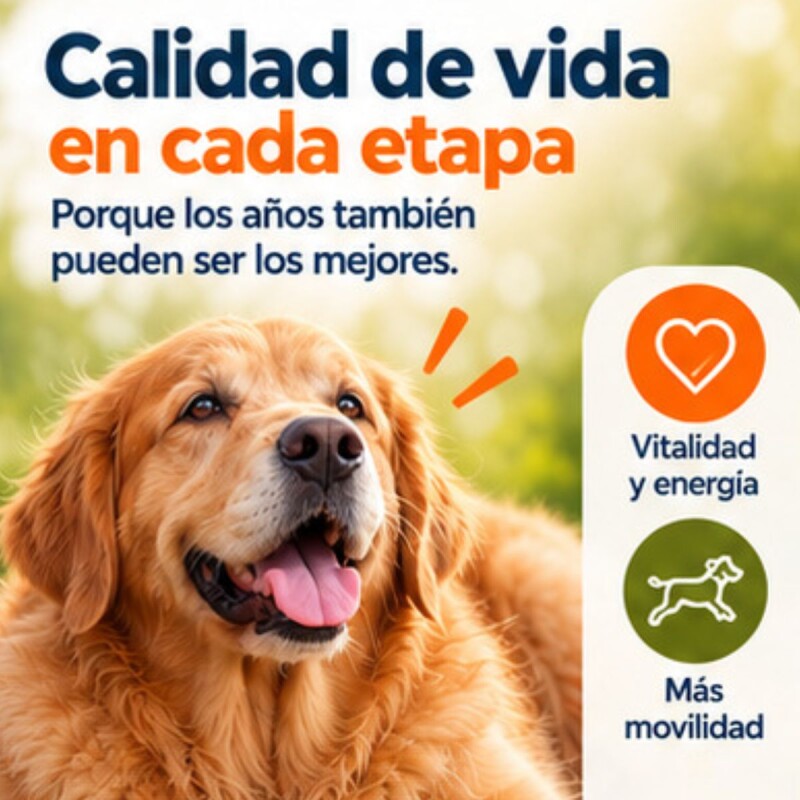 GOLDEN FORMULA PERRO SENIOR 15 KG CON REGALO GOLDEN FORMULA PERRO SENIOR 15 KG CON REGALO