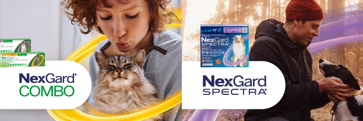 Nexgard Spectra