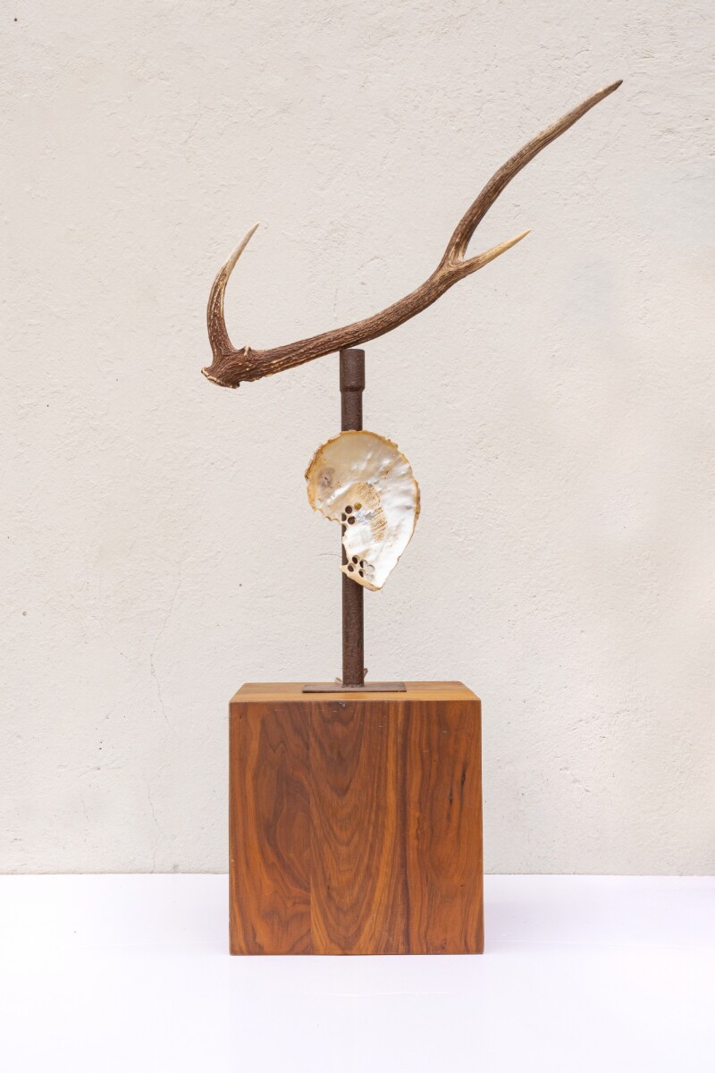 Nácar Lamp - Óxido 