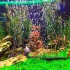 CORTINA DE BURBUJA PARA ACUARIO 75 CM CORTINA DE BURBUJA PARA ACUARIO 75 CM