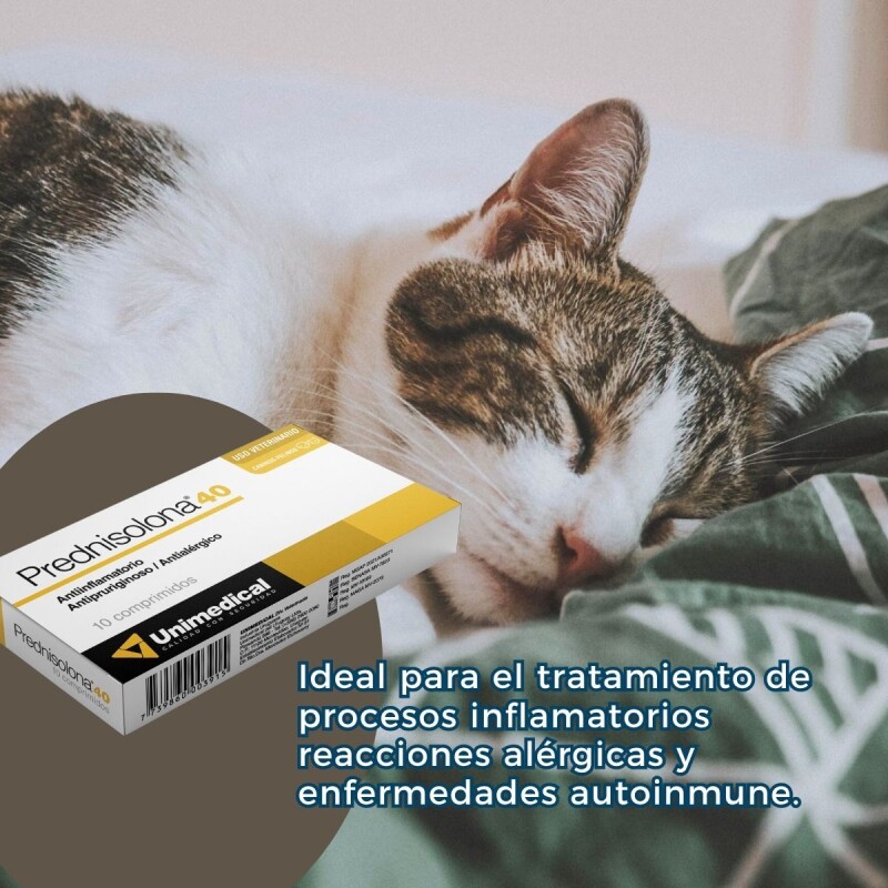 PREDNISOLONA 40 MG X CAJA DE 10 COMPRIMIDOS PREDNISOLONA 40 MG X CAJA DE 10 COMPRIMIDOS