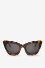 TABARCA CHEETAH TORTOISE Crudo