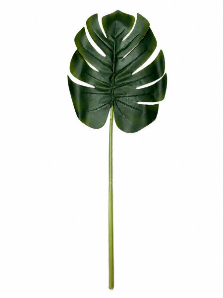 HOJA VERDE