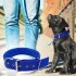 Collar Ajustable Reforzado Hebilla Nylon Perro Gato Mediano Variante Color Azul