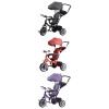 Triciclo 3 en 1 con techo Bebesit giratorio 360Â° Gris