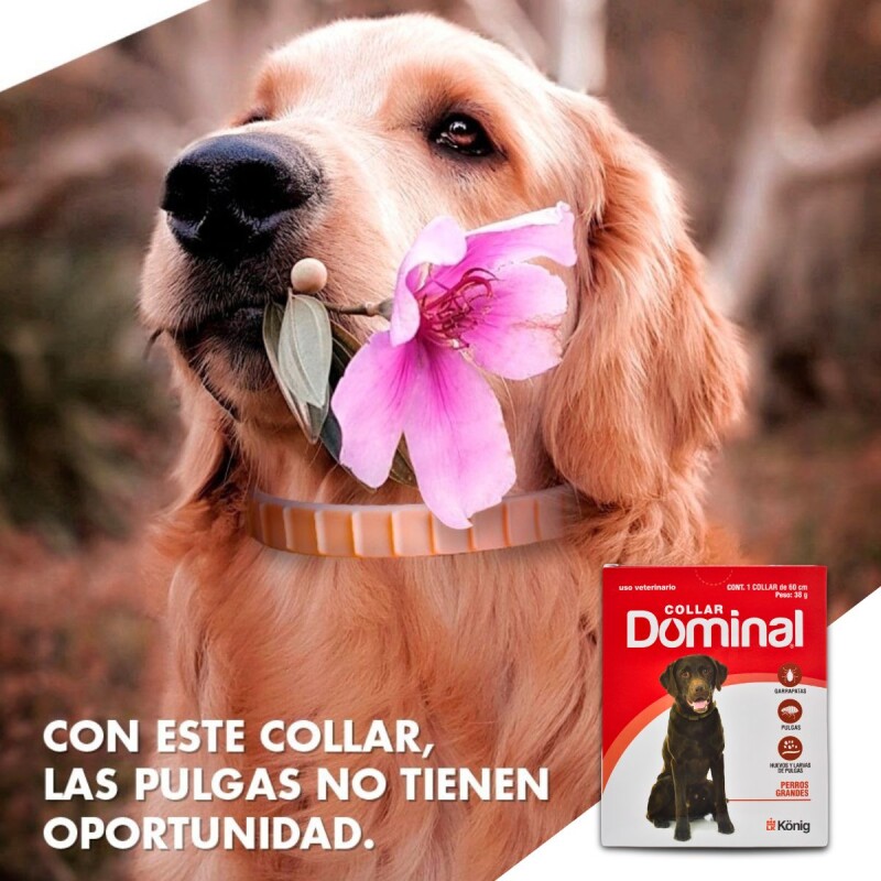 DOMINAL COLLAR ANTIPULGAS Y GARRAPATAS PERROS GRANDES 60 CM DE LARGO