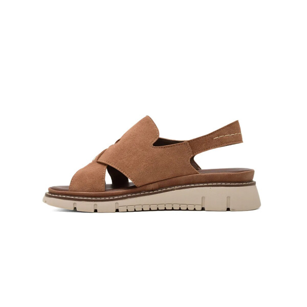 ZD13949 - KORIUM CAMEL