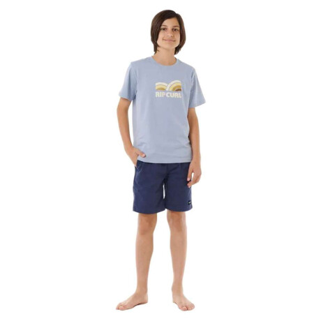 Remera MC Rip Curl Surf Revival Capture Tee Celeste