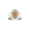 Anillo Profesión Veterinario -Plata y Oro-Sin Piedra-AP5016 sinpiedra