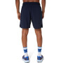ASICS Icon 7In Short - Hombre Midnight