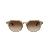 Ray Ban Rb4459d 6166/13