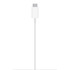 Cargador Apple MagSafe (1m)