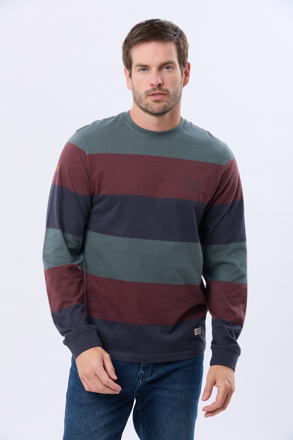 REMERA RAYADA CON ESTAMPA Azul