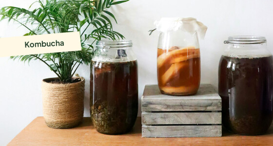 Kombucha: ¿qué es y por qué sumarla a tu día?