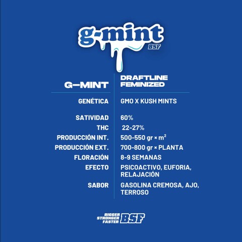 FEM - GMINT COLECCIÓN X7