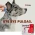 PIPETA ANTIPULGAS Y GARRAPATAS PARA PERROS DOMINAL KONIG DE 10,1 A 25 KG
