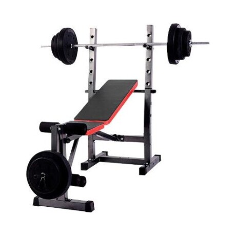 Combo Banco Multifunción ZGS-261 + Barra Recta Mancuernas y 45Kg en Discos de Pesas Combo Banco Multifunción ZGS-261 + Barra Recta Mancuernas y 45Kg en Discos de Pesas