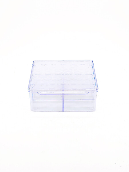 CAJA ORGANIZADORA CON DIVISION TRANSPARENTE