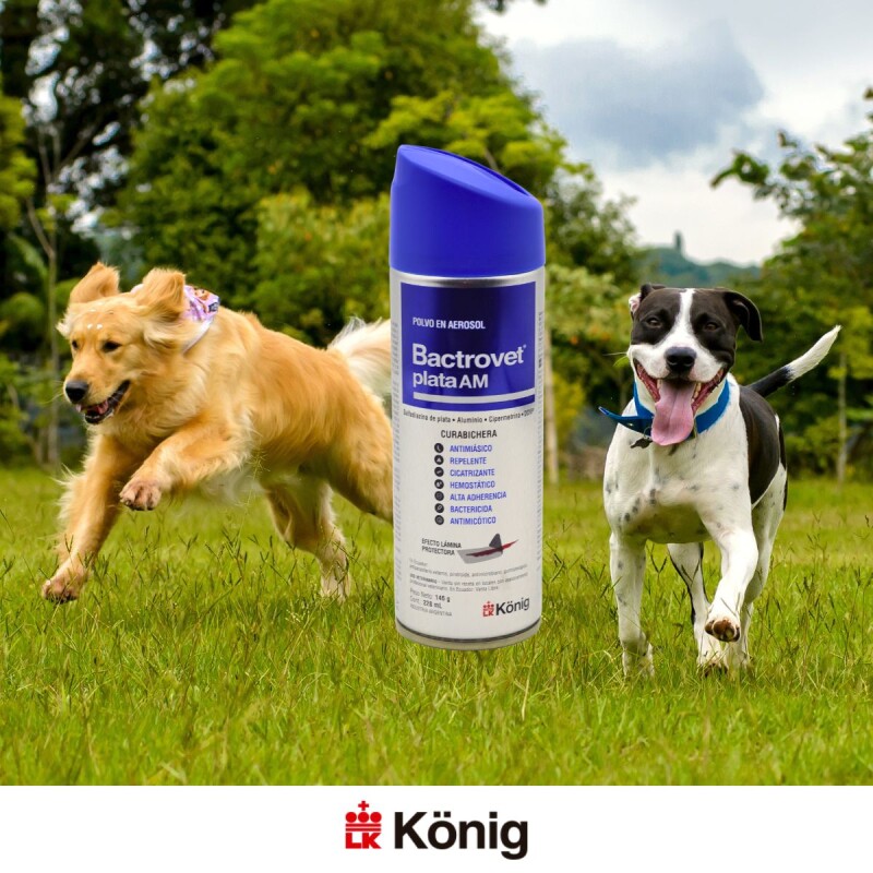 BACTROVET PLATA SPRAY 250 CC BACTROVET PLATA SPRAY 250 CC