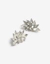 Aros Clips Strass Cristal