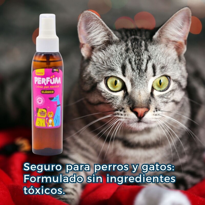 COLONIA PERFUME VETCROSS ATOMATIZADOR DE 140 ML COLONIA PERFUME VETCROSS ATOMATIZADOR DE 140 ML