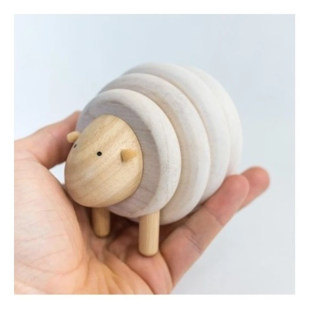 LACING SHEEP 