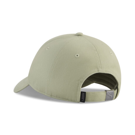 ESS Dad Cap 02661603 Verde