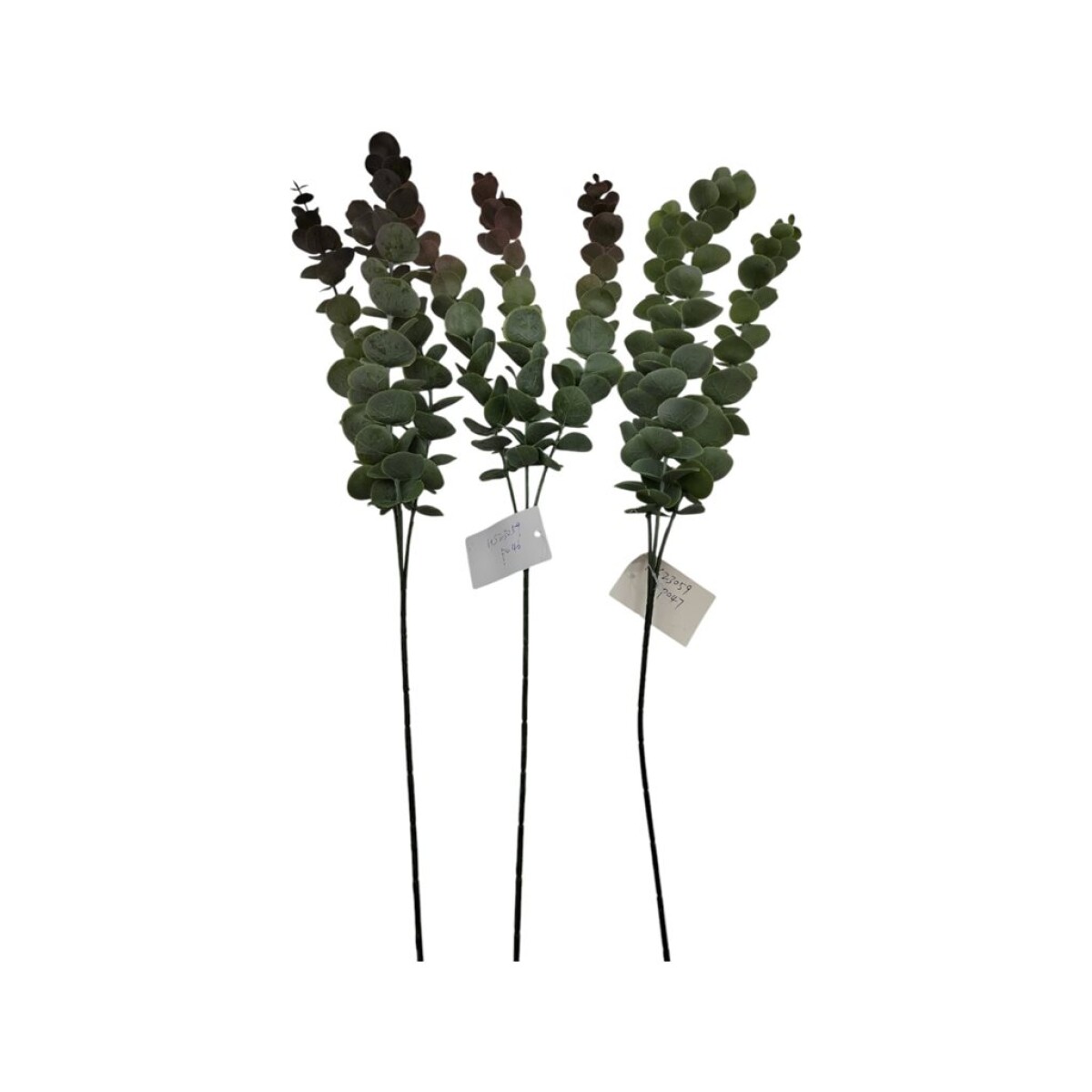 SET 3 RAMAS DE EUCALIPTO 60CM 