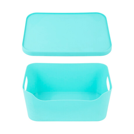 Contenedor de plastico con tapa y asas Haixing Contenedor de plastico con tapa y asas Haixing