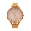 OLIVIA BURTON OB16SP01 Doradorosauniforme