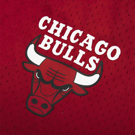 Short BasketBall Bulls