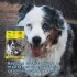THREE DOGS ORIGINAL ADULTO 20 KG + 2 KG DE REGALO THREE DOGS ORIGINAL ADULTO 20 KG + 2 KG DE REGALO