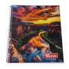 CUADERNO PAPIROS CON ESPIRAL DE 96 HOJAS TAPA CAÑON