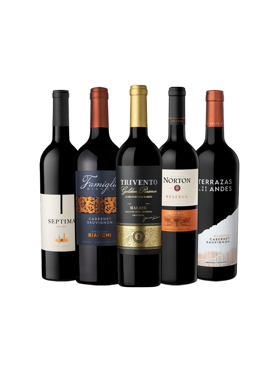 Pack Bacán Selección Mapa del Sur x5 vinos Esencia Argentina Pack Bacán Selección Mapa del Sur x5 vinos Esencia Argentina