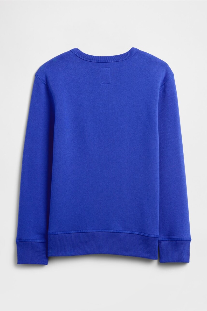 Buzo Deportivo Niño Royal Gem