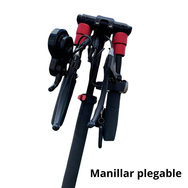 Monopatin Electrico Scooter Pro Gogreen Silence R10 30Km/h Variante Color Negro