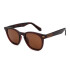 Lentes de Sol Chilli Beans Playstation TLOU Bossa Nova Hombre Marrón/marrón