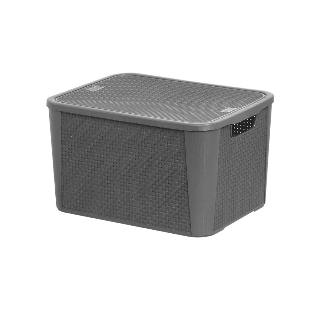 CAJA ORGANIZADORA SIMIL RATTAN 42 LITROS - GRIS 