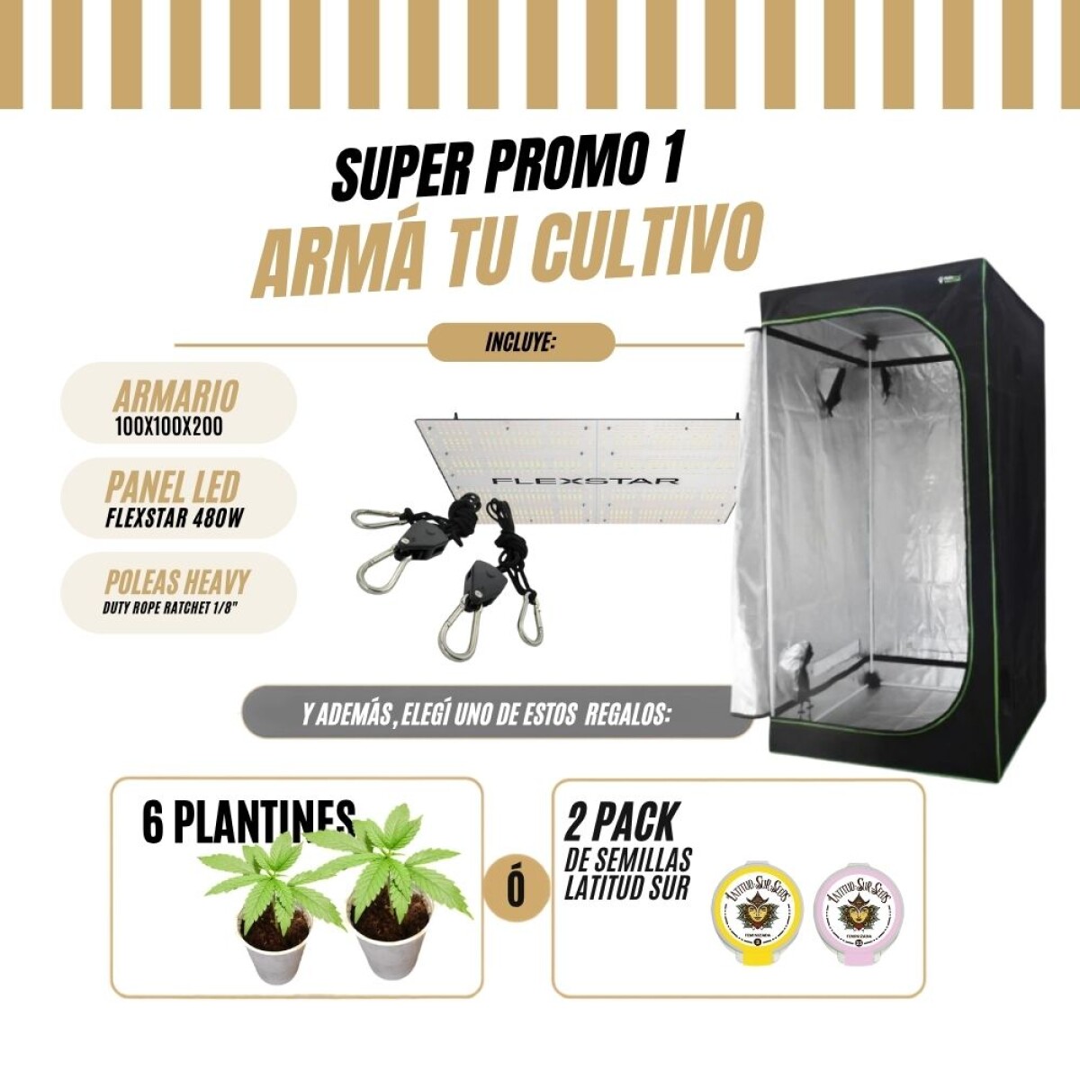 Promo 1 / SETUP COMPLETO PARA ARRANCAR TU CULTIVO 