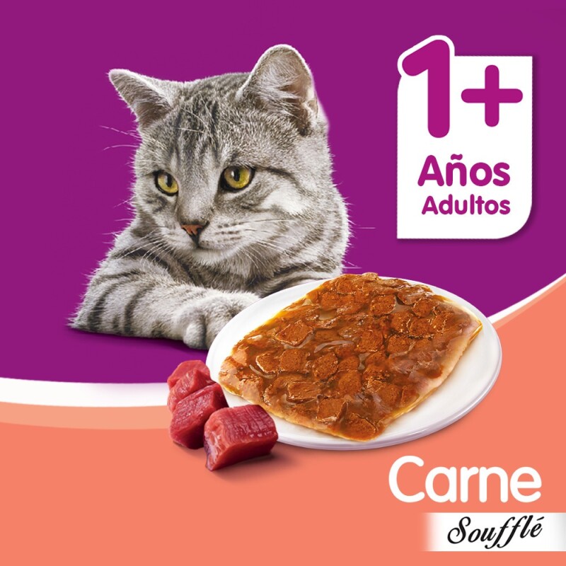 WHISKAS EN SALSA SOUFFLE CARNE ALIMENTO HUMEDO 85 GRS