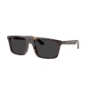 Ray Ban Rb2222 902/48