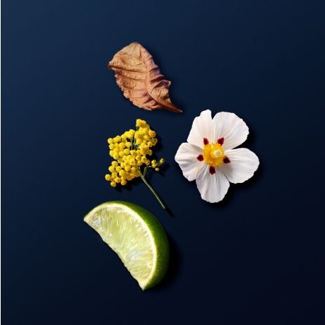 Armani Acqua Di Giò Profondo Le Parfum 100ml Armani Acqua Di Giò Profondo Le Parfum 100ml