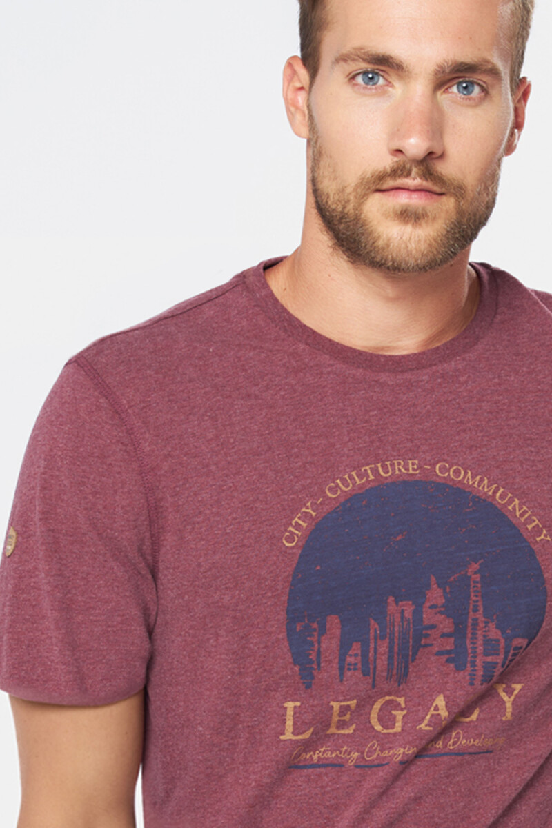 REMERA ESTAMPADA - Bordo 