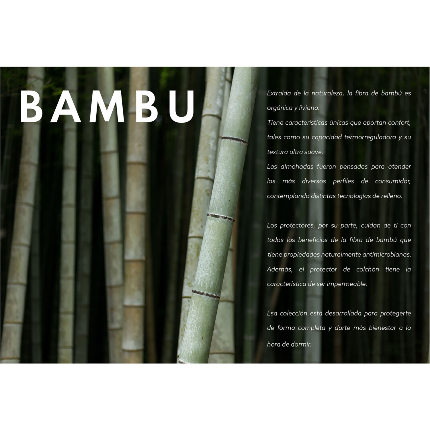 Protector natural de fibras de bambú blanco 200x200 ECOBAMBU