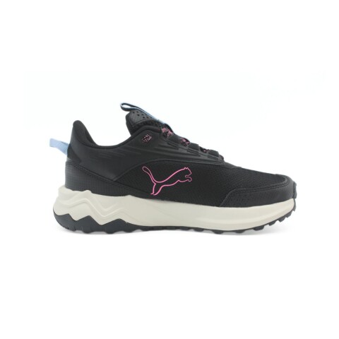 CHAMPION 36-41 NEGRO