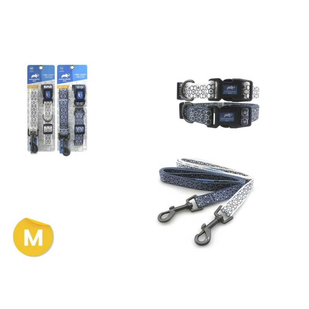 COLLAR + CORREA DISEÑOS M COLLAR + CORREA DISEÑOS M