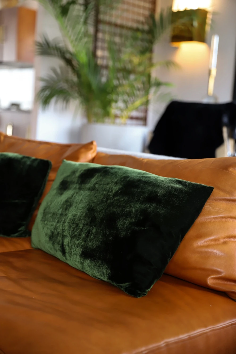 Terciopelo Cushion - Chico verde n/a