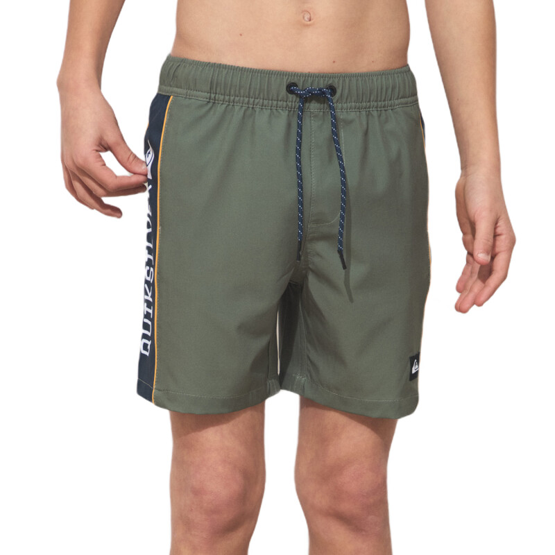 Short Quiksilver de niño Logo - Verde Short Quiksilver de niño Logo - Verde