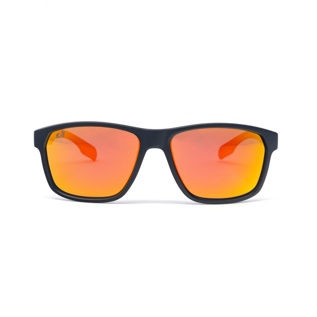 Lentes de sol Arye Polarizados 26105 Hombre - C2 
